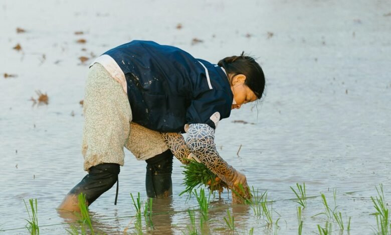 effective conversion strategies revealed