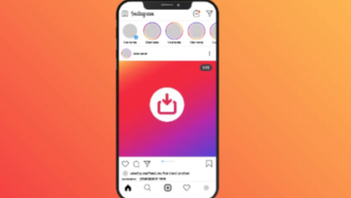 5 Best Insta Video Downloader Sites in 2026 – Free Unlimited IG Story Viewer